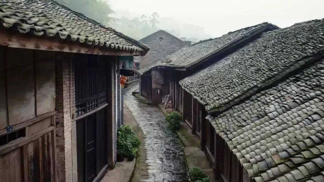 悲伤兔大冒险
